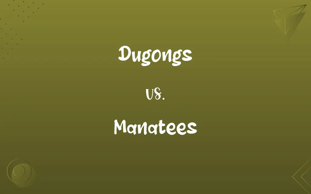Dugongs vs. Manatees