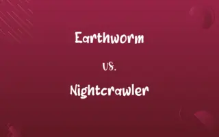 Earthworm vs. Nightcrawler