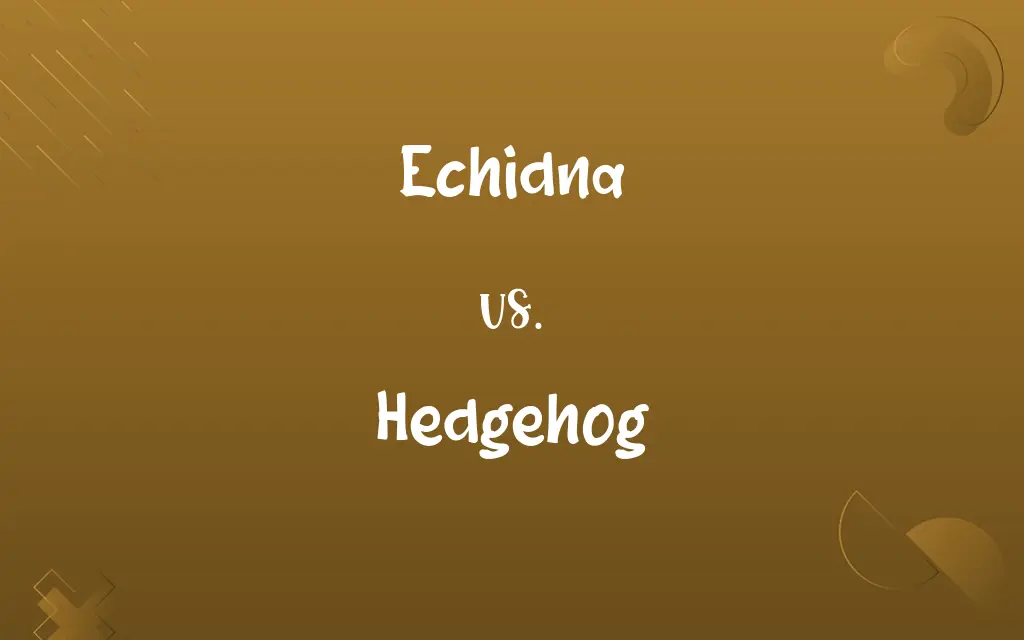 Echidna vs. Hedgehog