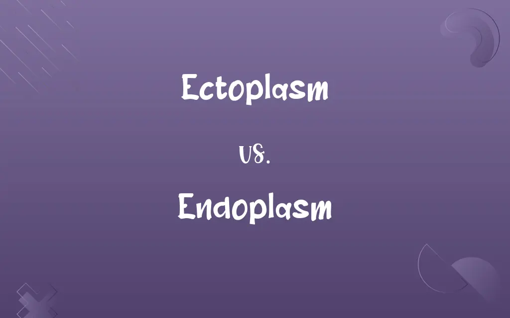 Ectoplasm vs. Endoplasm: Know the Difference