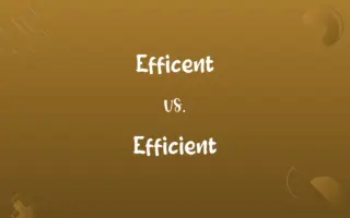 Efficent vs. Efficient