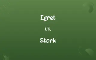 Egret vs. Stork