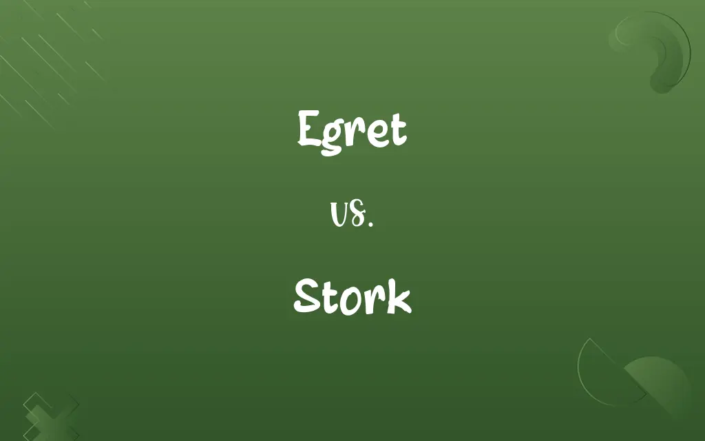 Egret vs. Stork