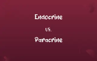 Endocrine vs. Paracrine