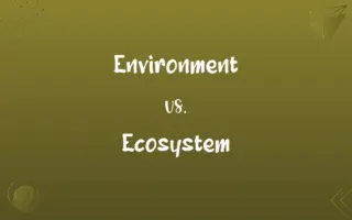 Environment vs. Ecosystem