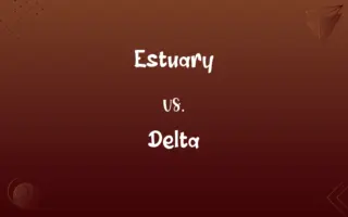 Estuary vs. Delta
