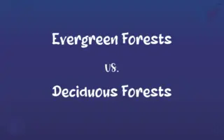 Evergreen Forests vs. Deciduous Forests