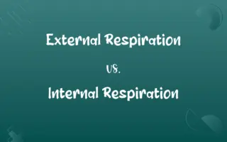 External Respiration vs. Internal Respiration
