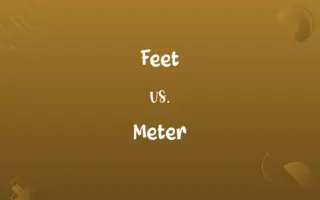 Feet vs. Meter