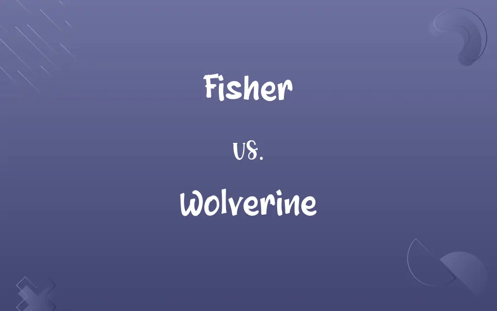 Fisher vs. Wolverine