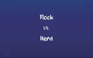 Flock vs. Herd