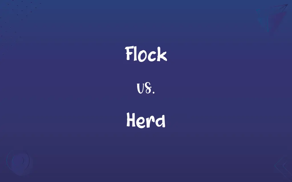 Flock vs. Herd