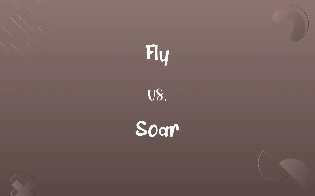 Fly vs. Soar