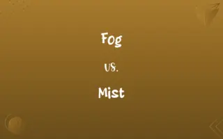 Fog vs. Mist
