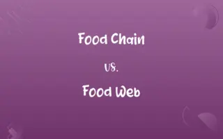 Food Chain vs. Food Web
