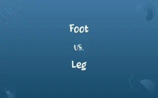 Foot vs. Leg
