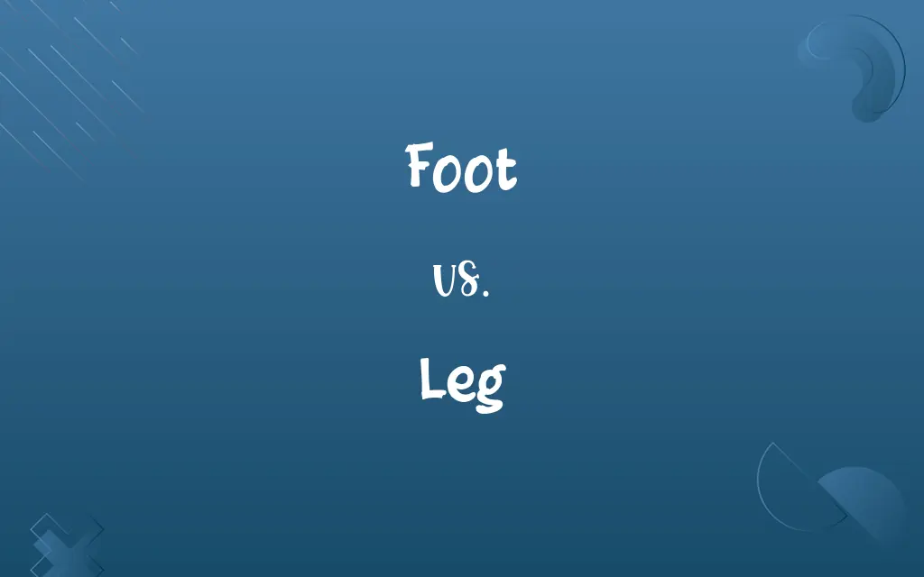 Foot vs. Leg
