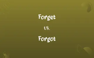 Forget vs. Forgot