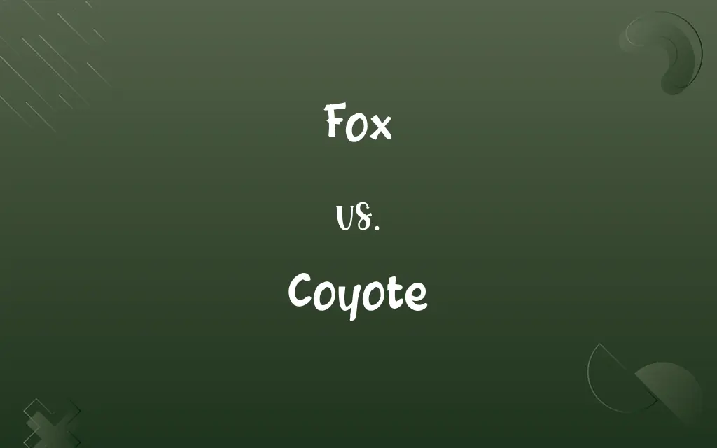 Fox vs. Coyote