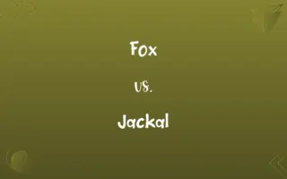 Fox vs. Jackal