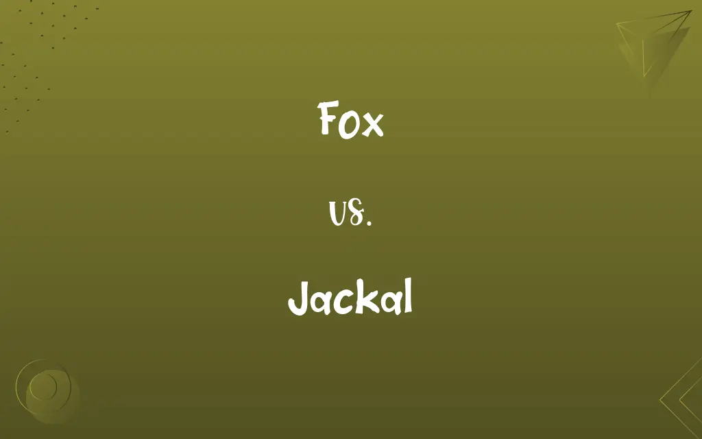 Fox vs. Jackal