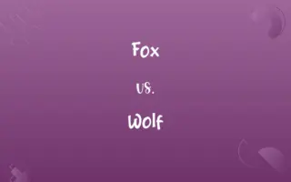 Fox vs. Wolf