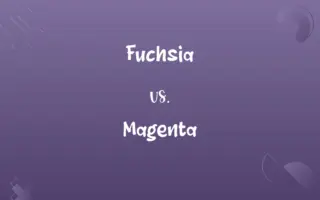 Fuchsia vs. Magenta
