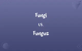 Fungi vs. Fungus