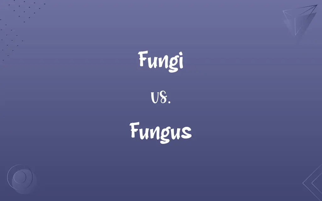 Fungi vs. Fungus