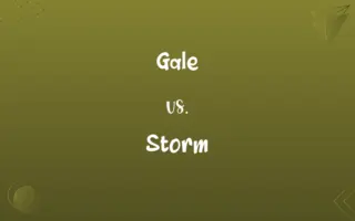 Gale vs. Storm