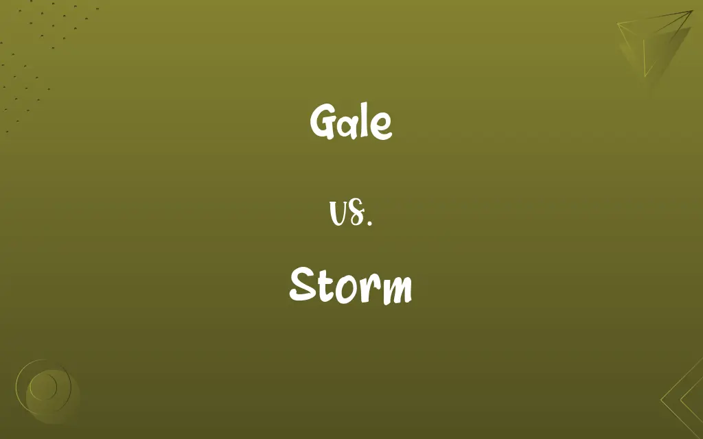 Gale vs. Storm