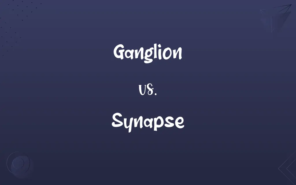 Ganglion vs. Synapse
