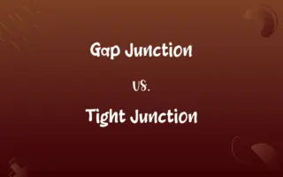 Gap Junction vs. Tight Junction