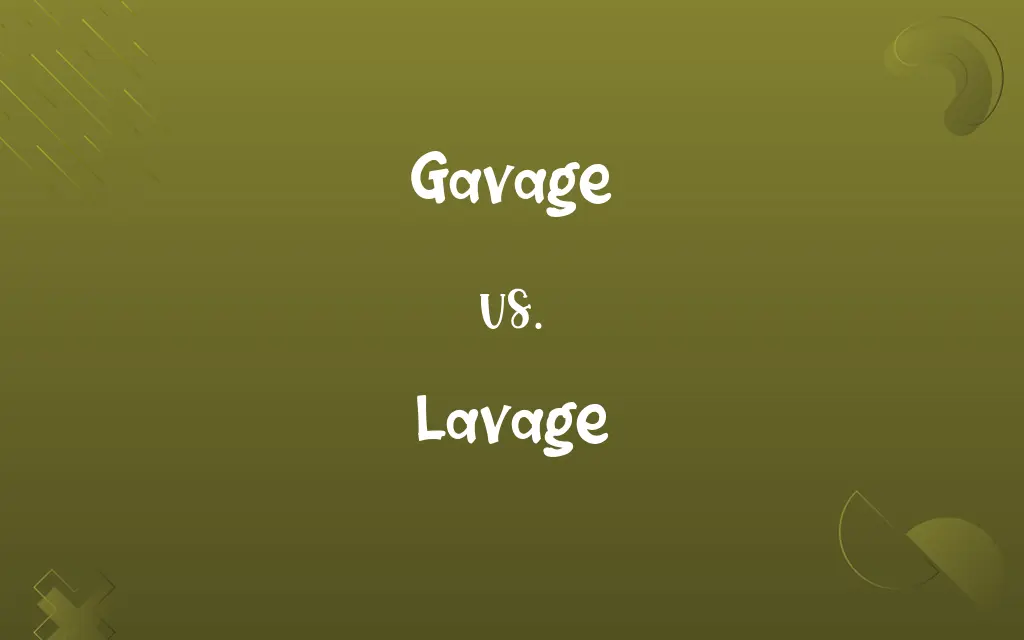 Gavage vs. Lavage