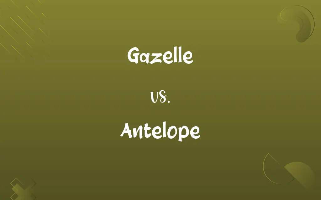 Gazelle vs. Antelope