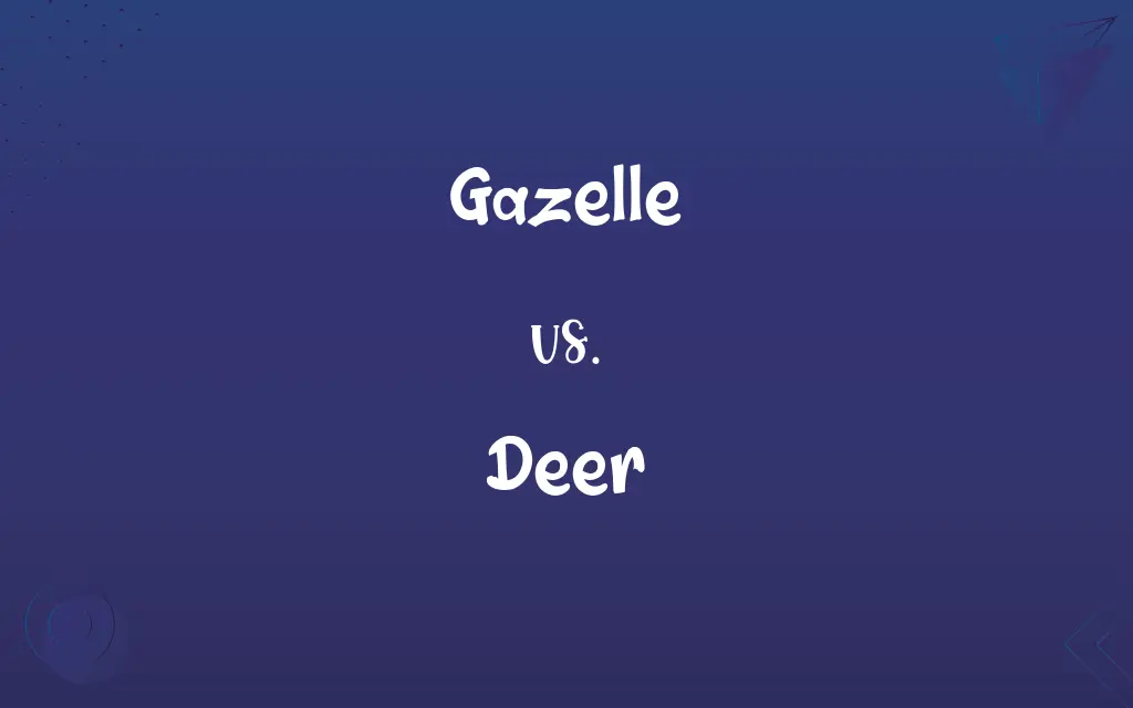 Gazelle vs. Deer