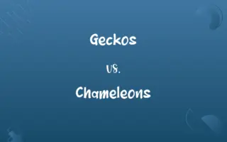 Geckos vs. Chameleons