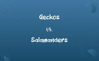 Geckos vs. Salamanders