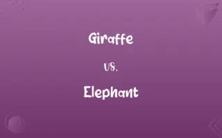 Giraffe vs. Elephant