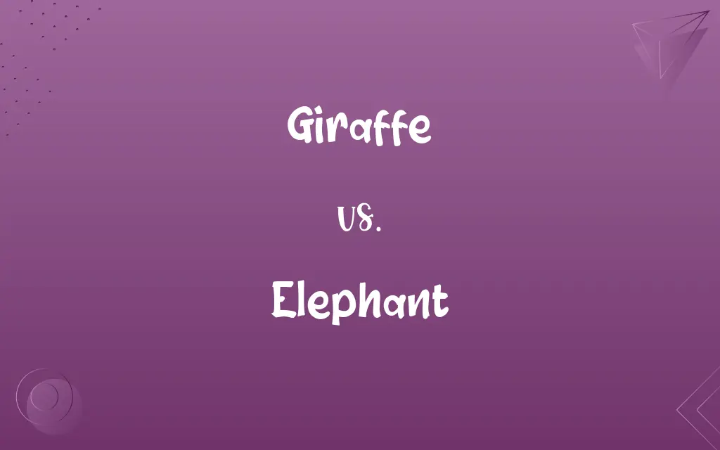 Giraffe vs. Elephant