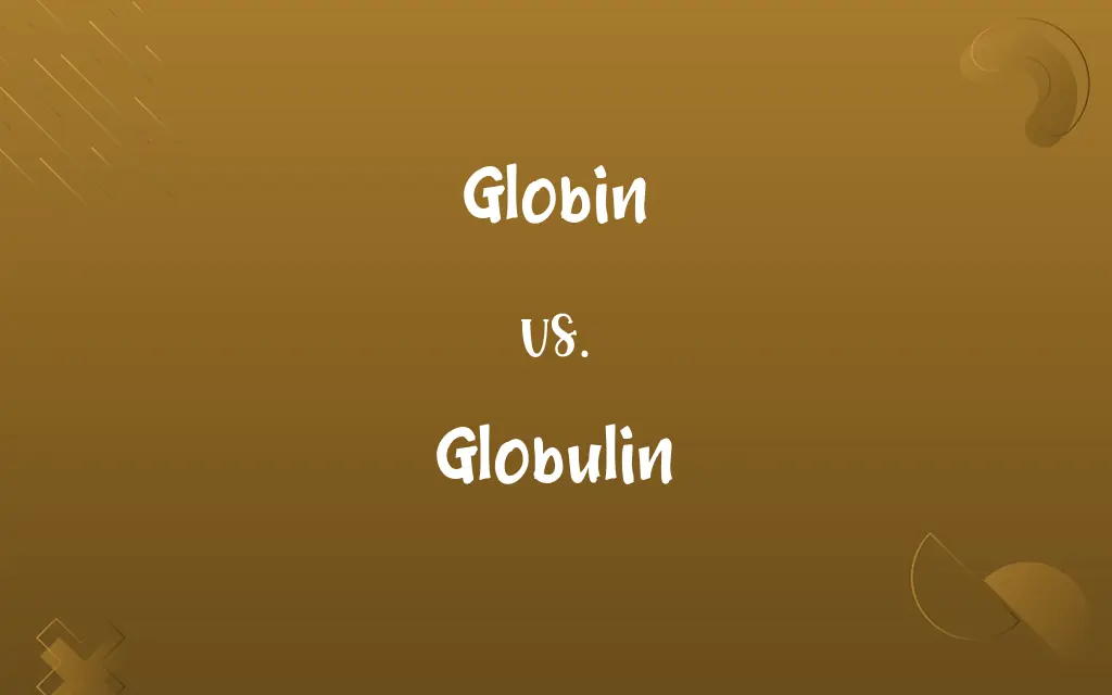 Globin vs. Globulin
