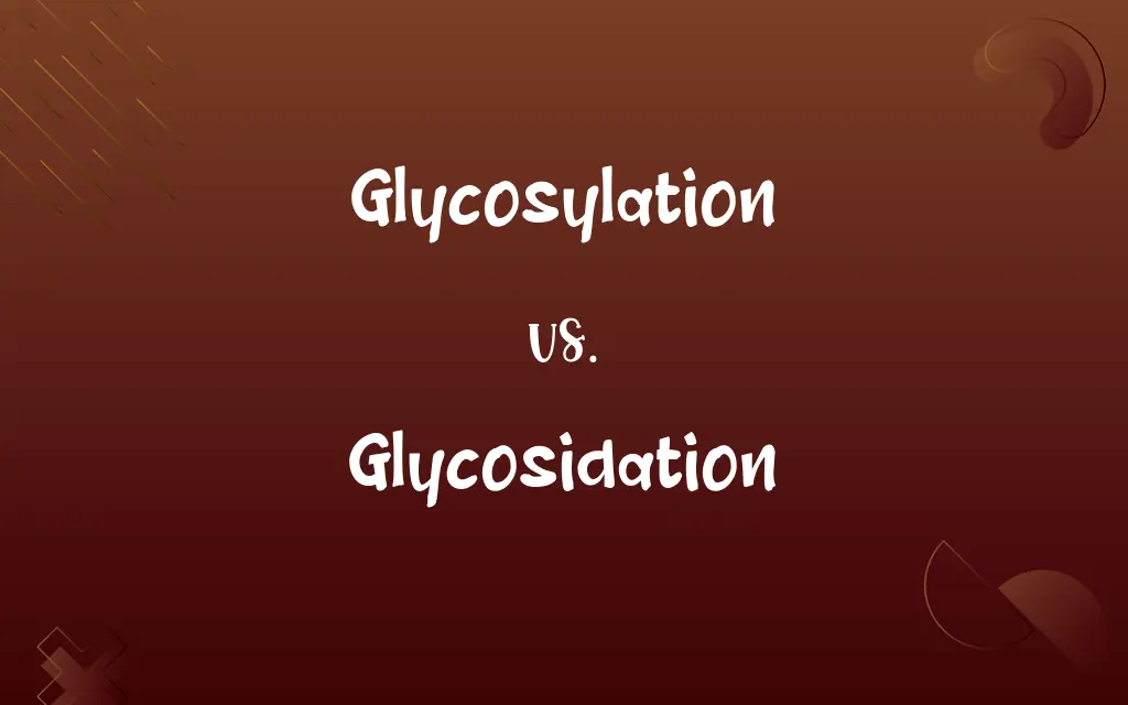 Glycosylation vs. Glycosidation