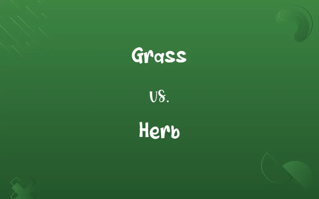 Grass vs. Herb
