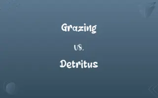 Grazing vs. Detritus