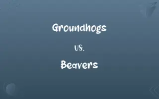 Groundhogs vs. Beavers