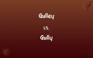 Gulley vs. Gully