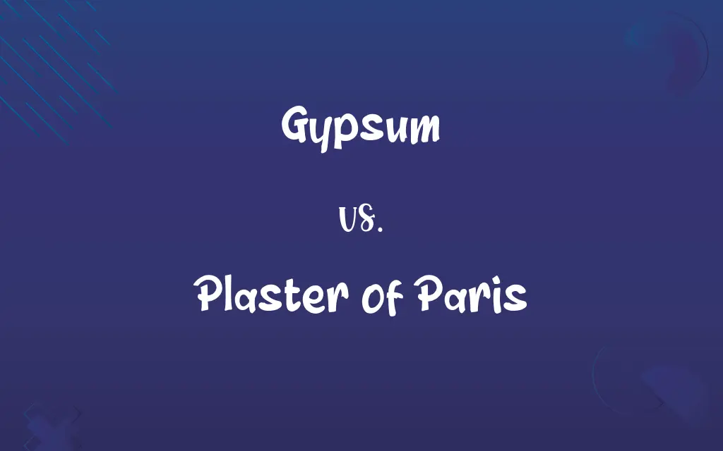 Gypsum Vs Plaster Of Paris 45442.webp