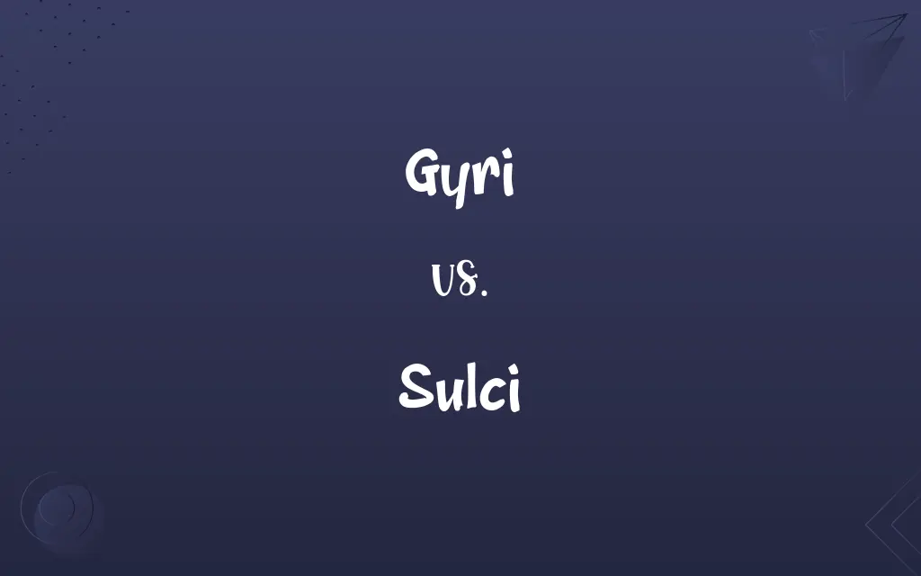 Gyri vs. Sulci
