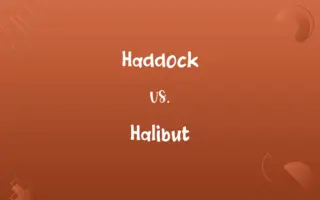 Haddock vs. Halibut