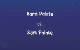 Hard Palate vs. Soft Palate